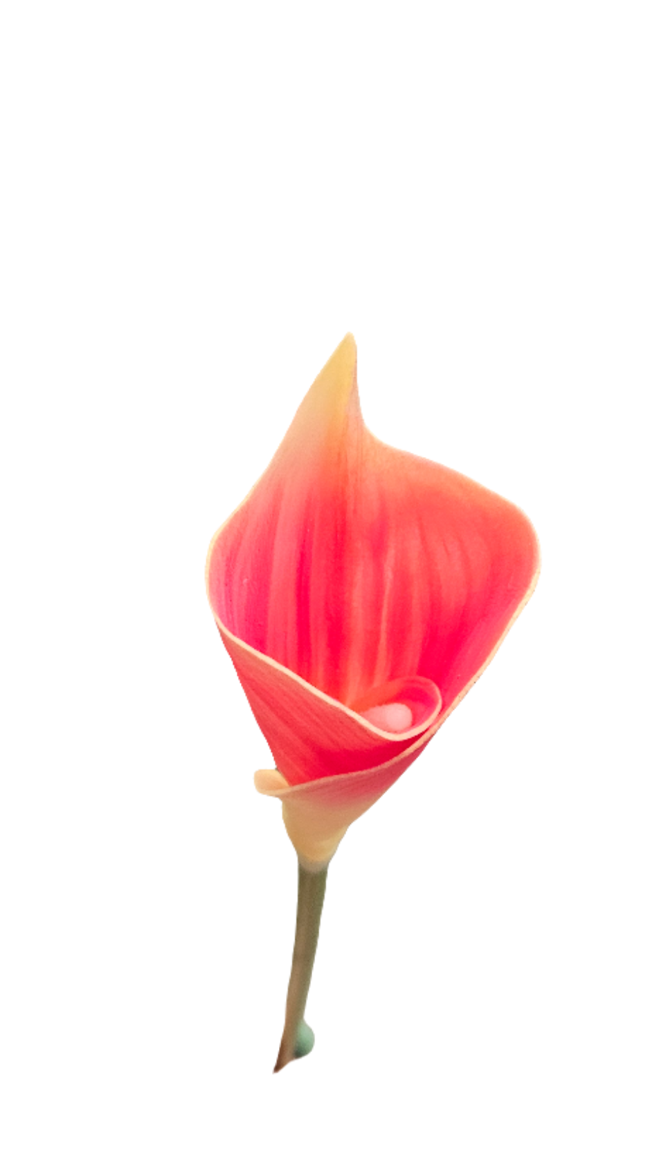 26" Calla Lily Stem