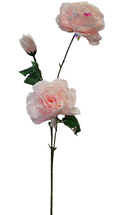 Peony Stem - 3 Head - 25"