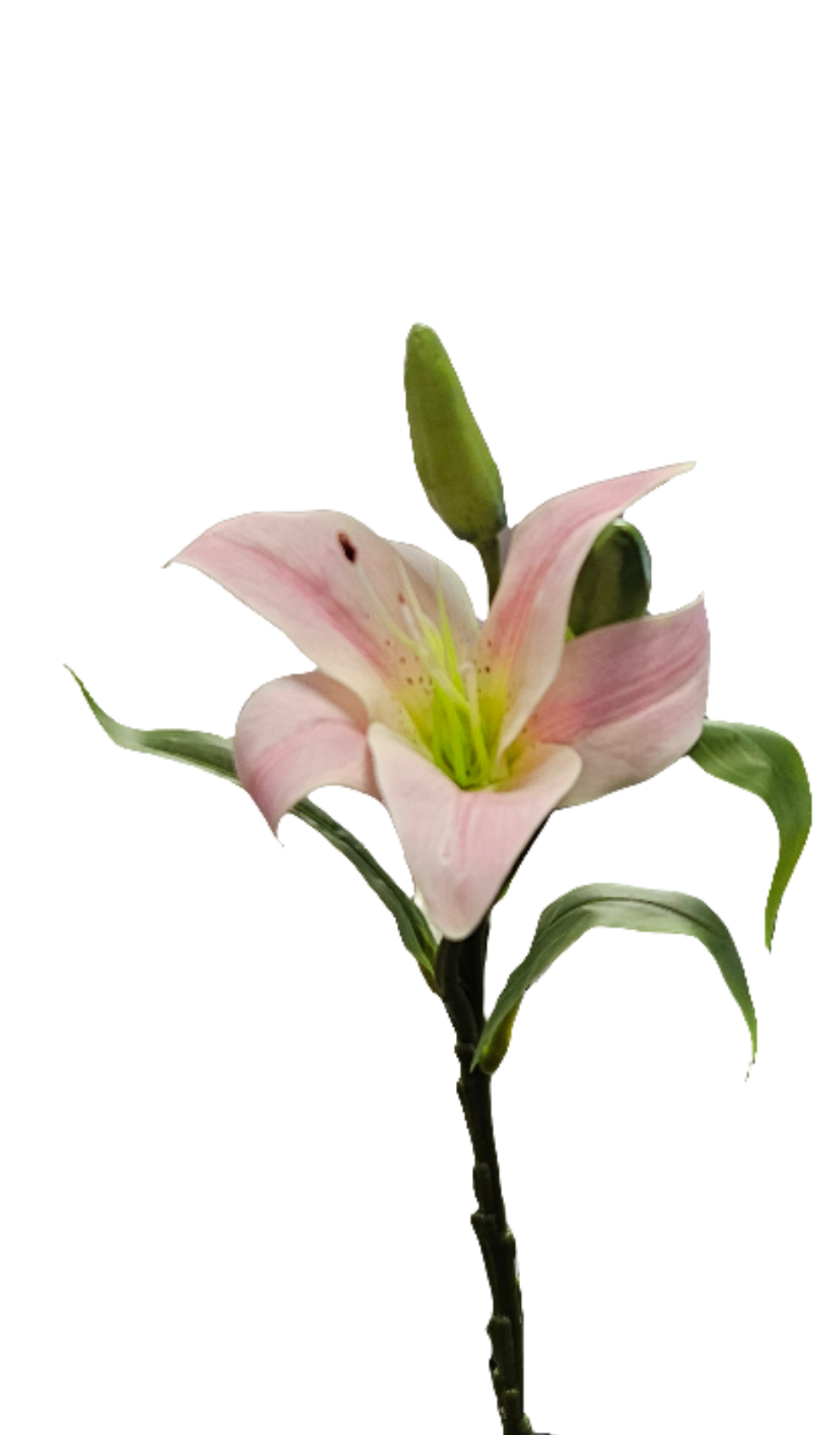 13" Lily Stem