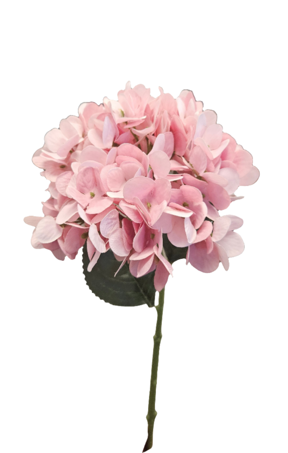 18" Hydrangea JD-F97