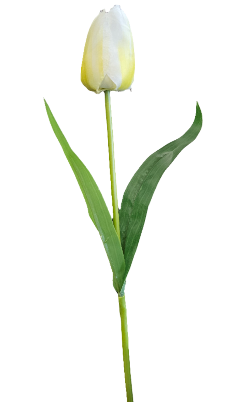 18" Silk Tulips