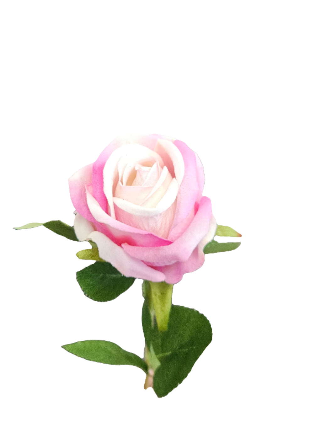 20.5" Single Rose Stem