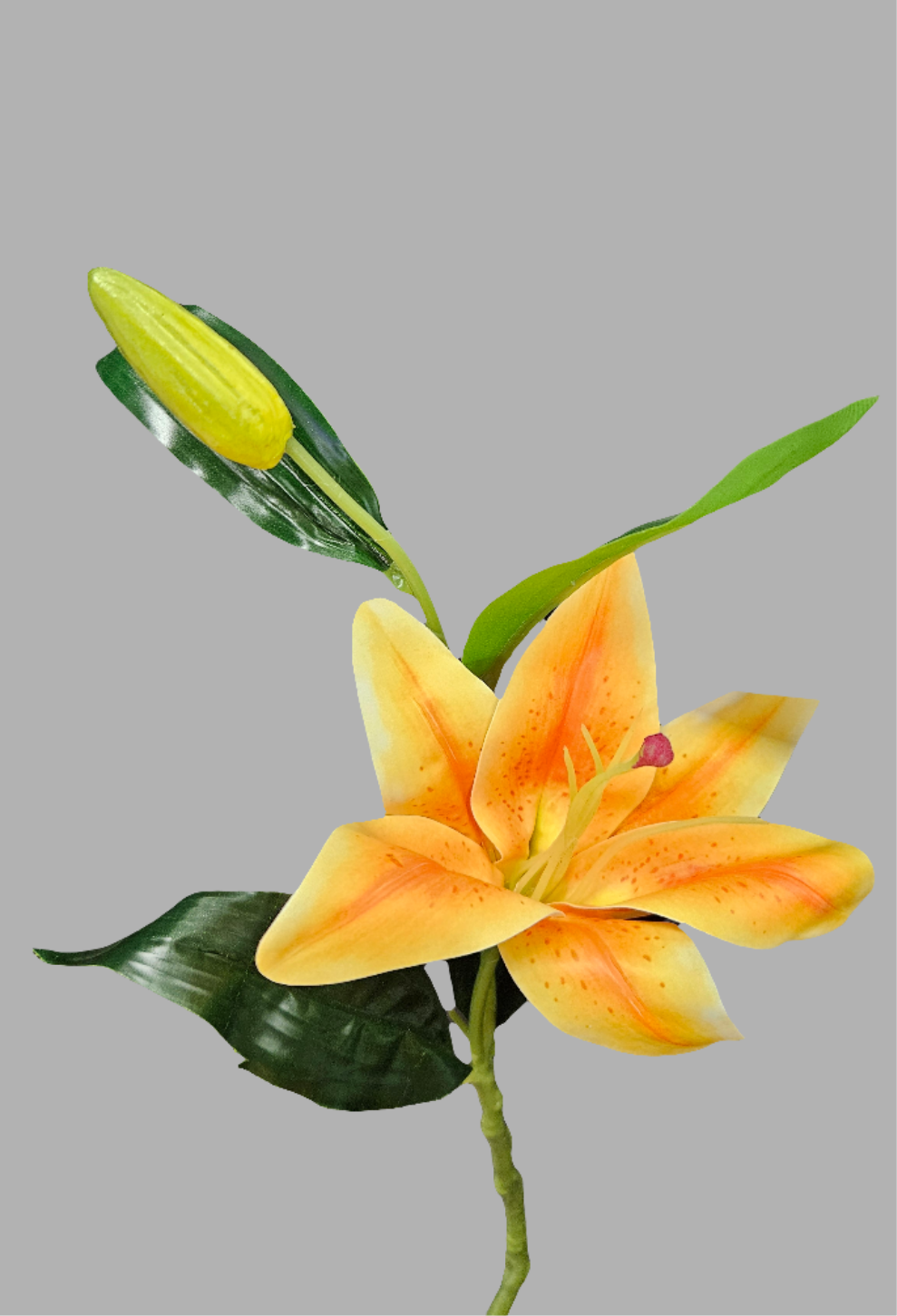 13" Lily Stem