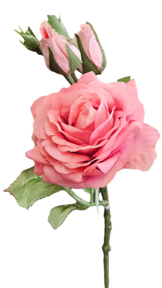 16" Ouli Rose Stem - 3 Buds
