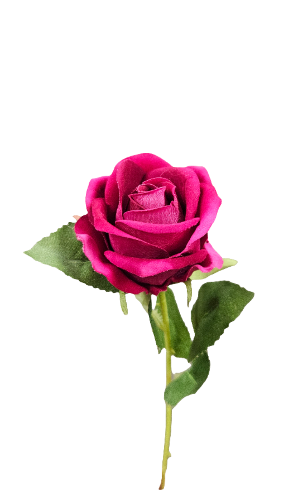 20.5" Single Rose Stem