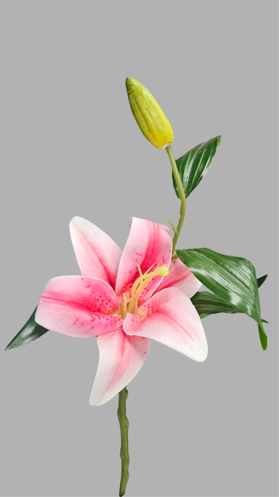 13" Lily Stem