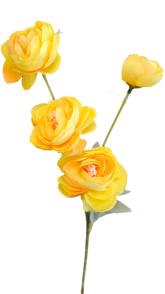 23" Ranunculus Stem - 4 Buds