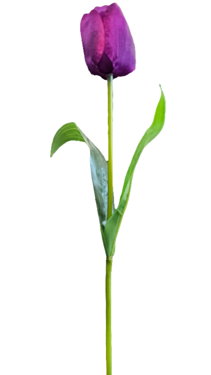 18" Silk Tulips