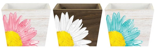 3 Asst 5.75 " SQ x 4.25 " H Daisy Planter