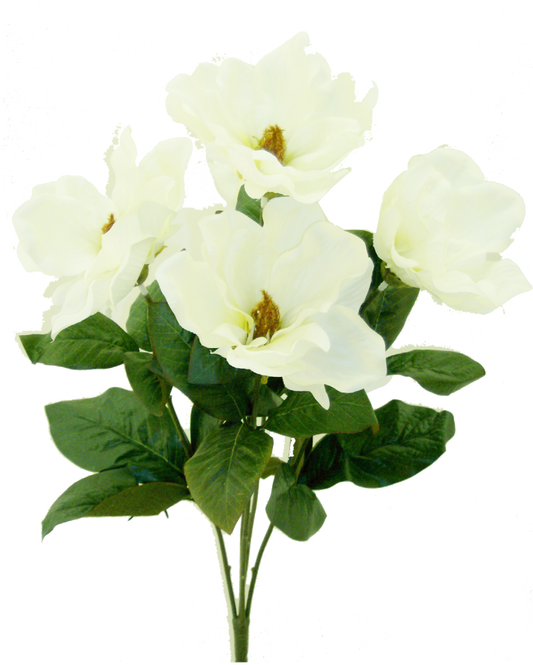 23" Magnolia Bush: White