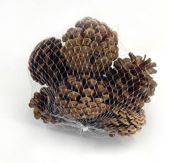 1.75"-2.75" Pinecones in Mesh Bag Natural 10ea/Bg