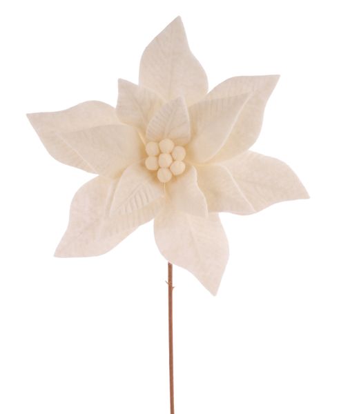 11"Dia x 20"L Felt Poinsettia Stem- Ivory