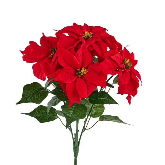 21"H Poinsettia Bush: Red