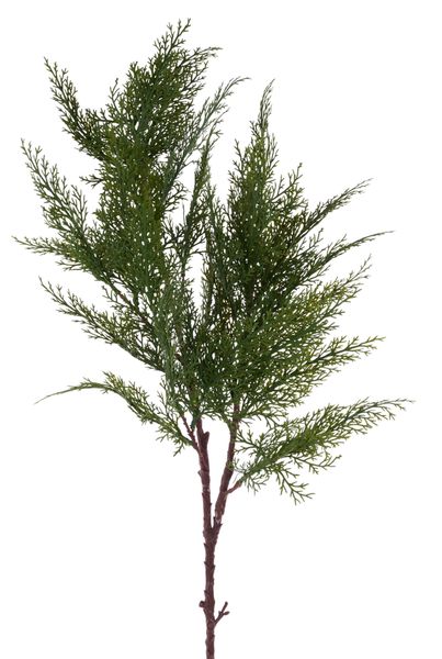 35" Cedar Spray Green