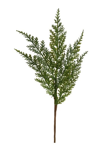 16"L Arborvitae Pick Green