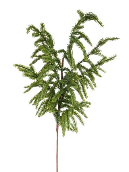 30" Norfolk Pine Spray/Pick