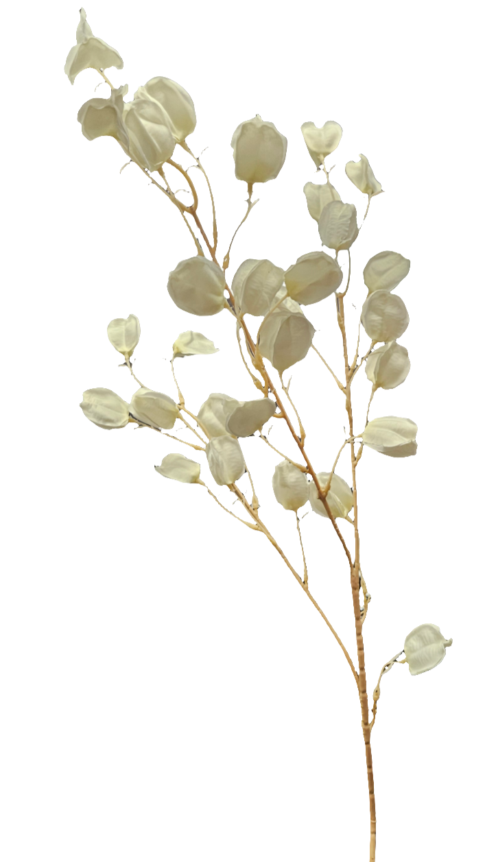 33" Chinese Lantern Flower Stem