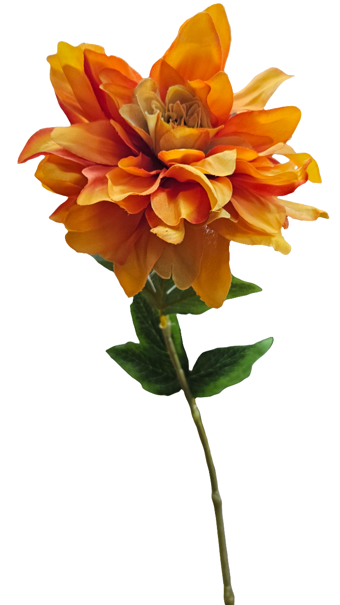 25" Dahlias Stems