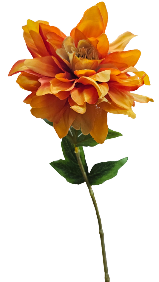 25" Dahlias Stems