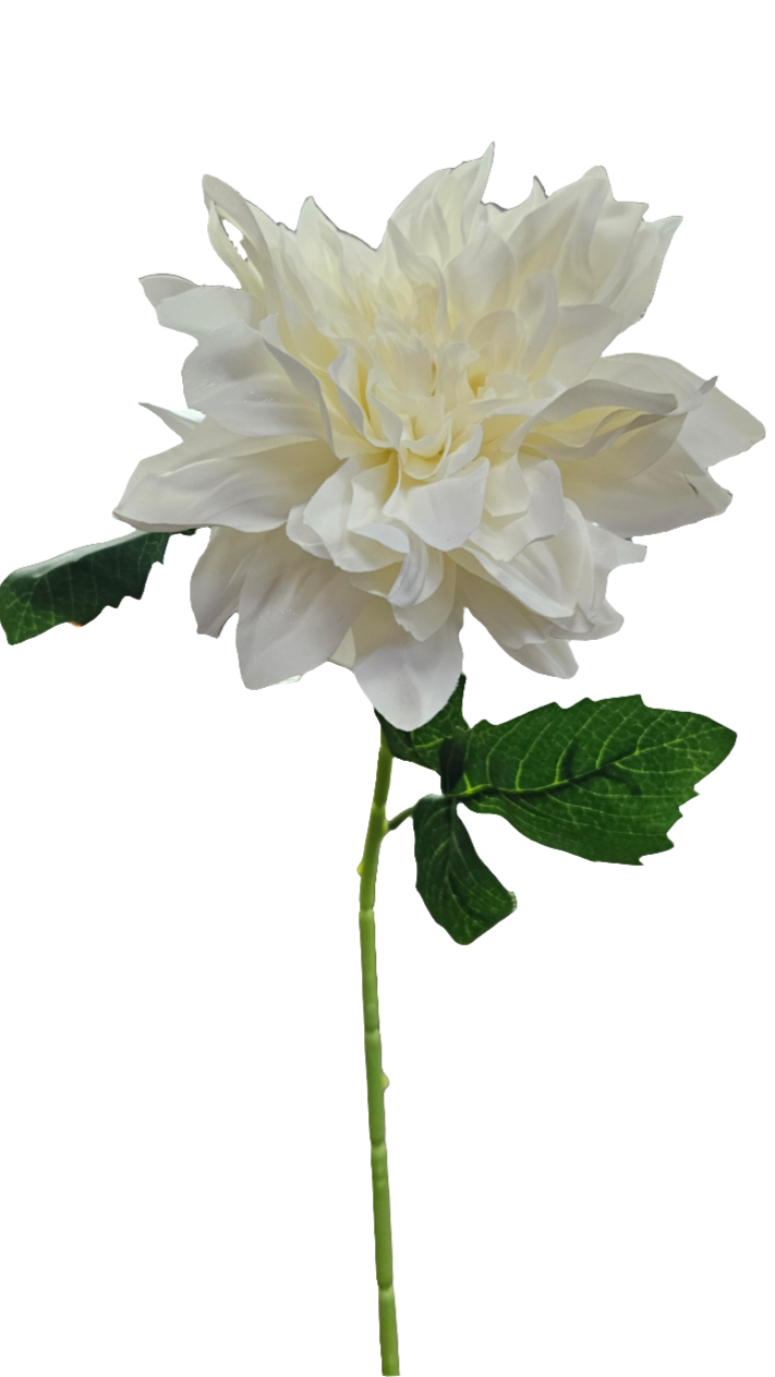 25" Dahlias Stems