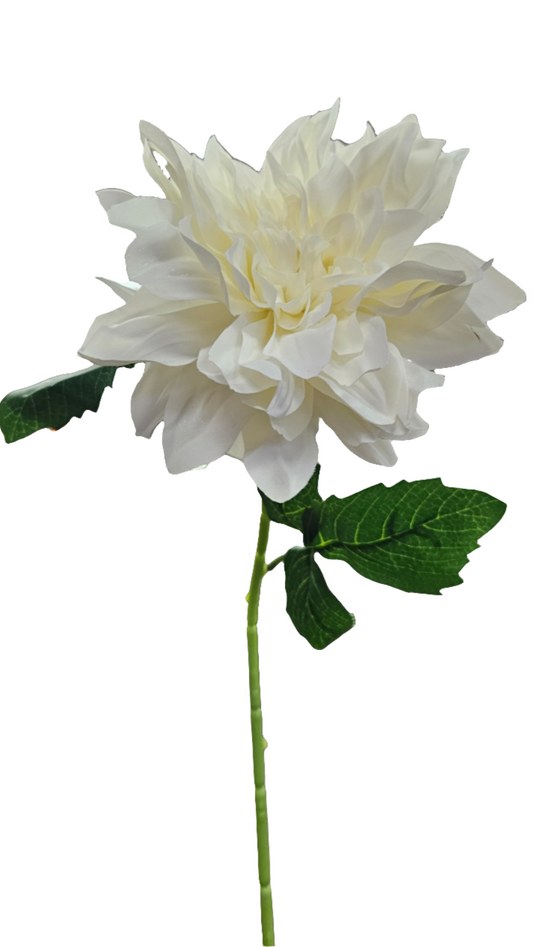 25" Dahlias Stems