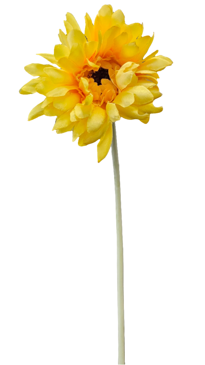 21" Gerbera Daisies