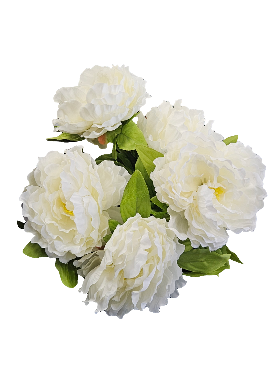 22" Color Fast Peony Bush