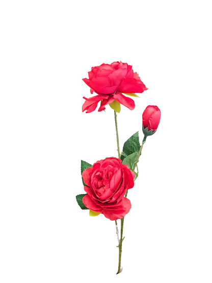 Peony Stem - 3 Head - 25"