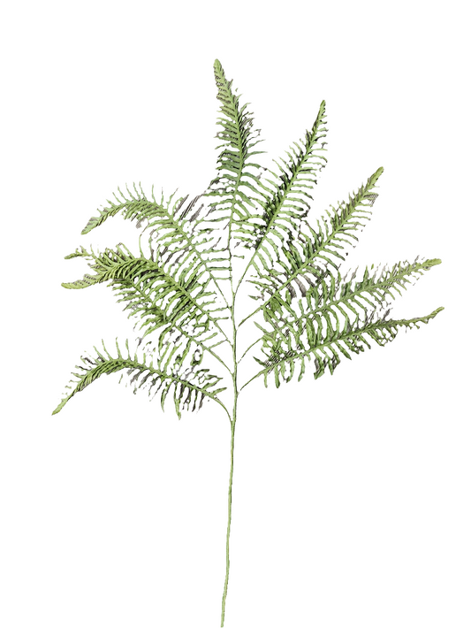 37" Boston Fern Spray