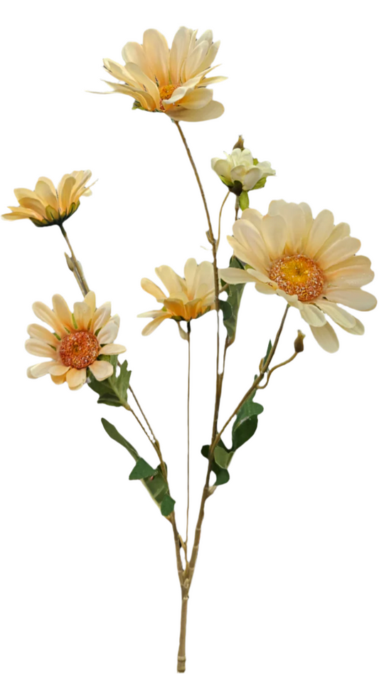 30" Daisy Stems