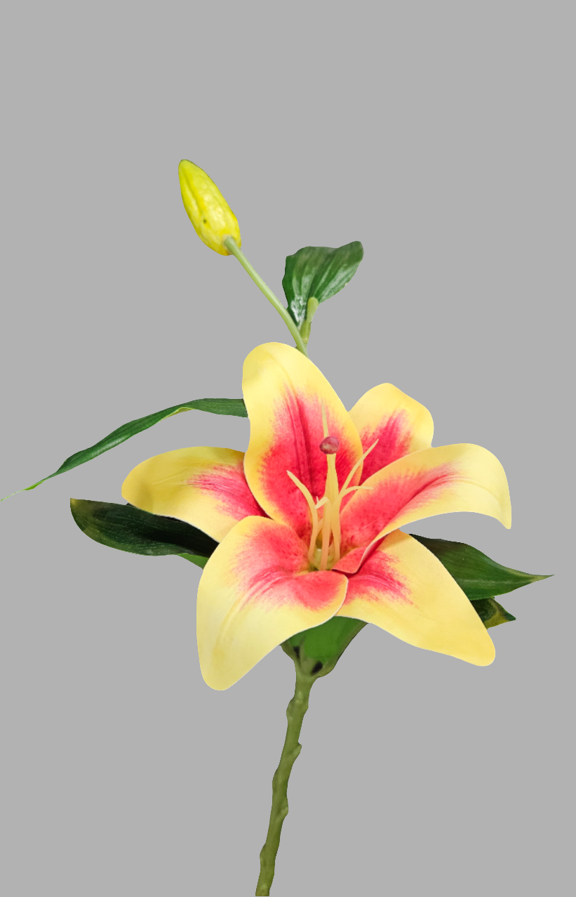 13" Lily Stem