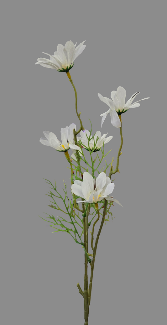20” Daisy  JD-F19 White