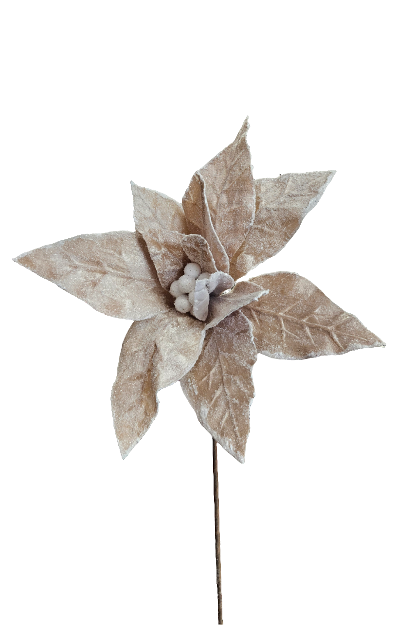 22" Sugar Poinsettia: Taupe