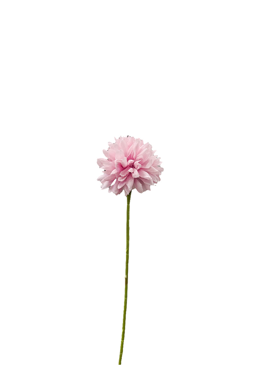 Pink Chrysanthemum 20”