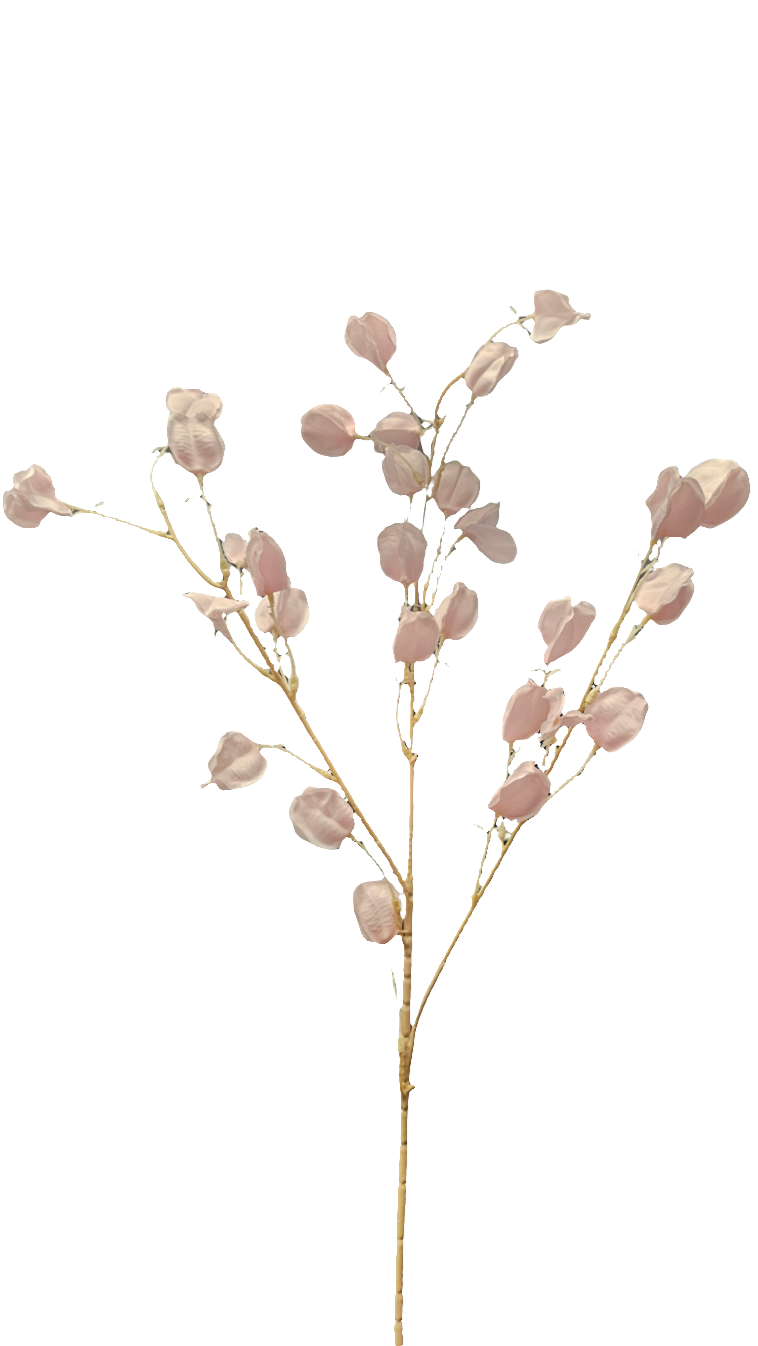 33" Chinese Lantern Flower Stem
