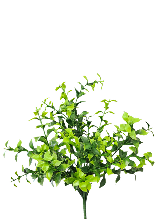 12” Boxwood Bunch Plastic
