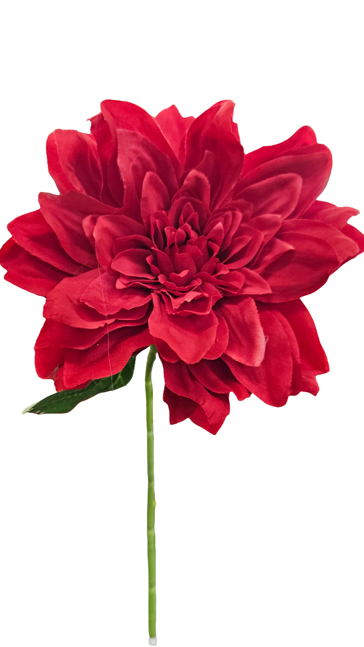 25" Dahlias Stems