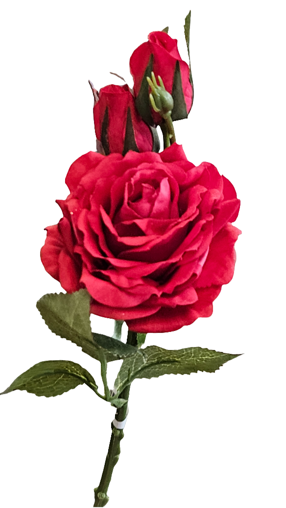 16" Ouli Rose Stem - 3 Buds