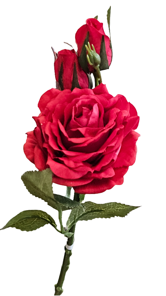 16" Ouli Rose Stem - 3 Buds