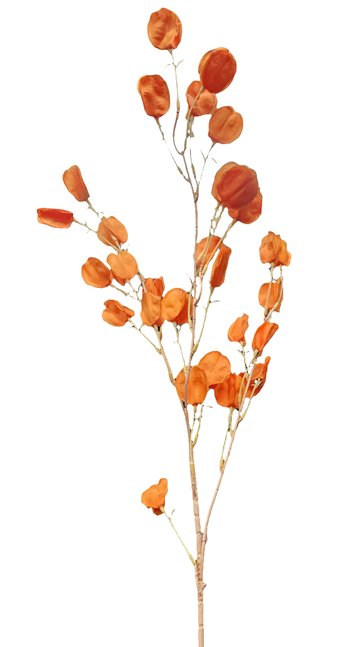 33" Chinese Lantern Flower Stem