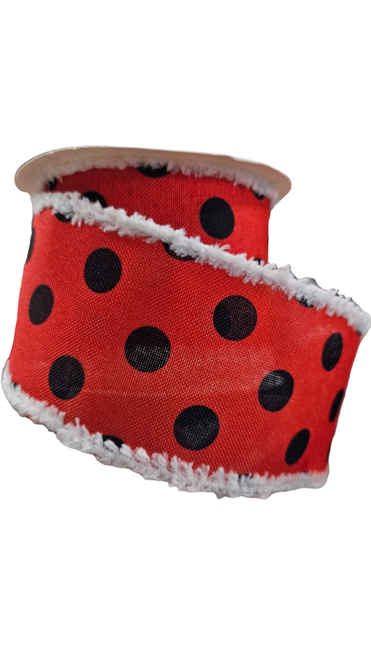 2.5" Polka Dot W/White Fuzzy Trim Ribbon (10 Yards)