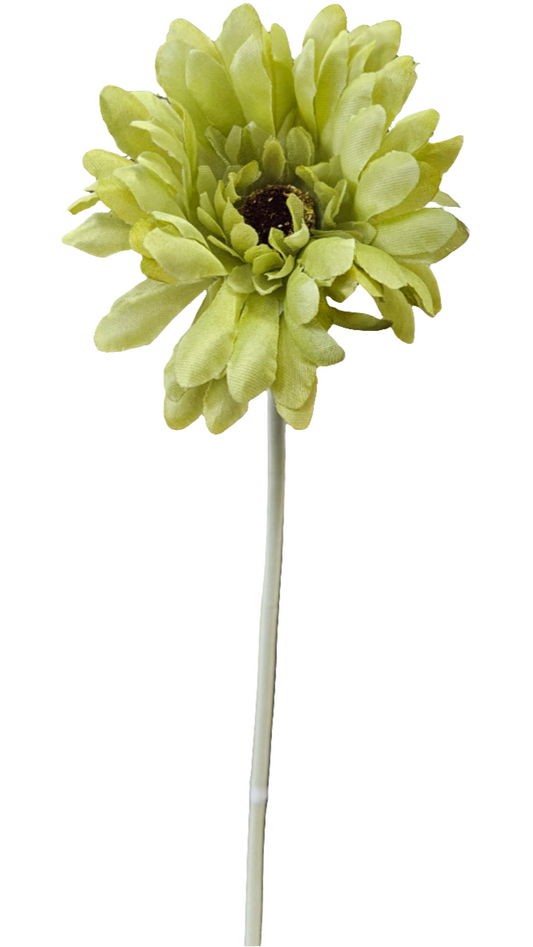 21" Gerbera Daisies