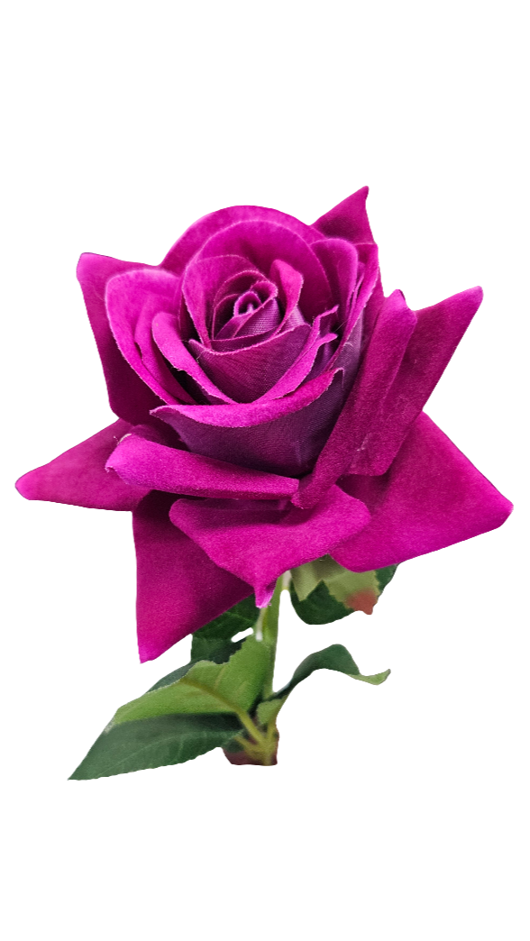 20" Ouli Rose Stem - 1 Bud