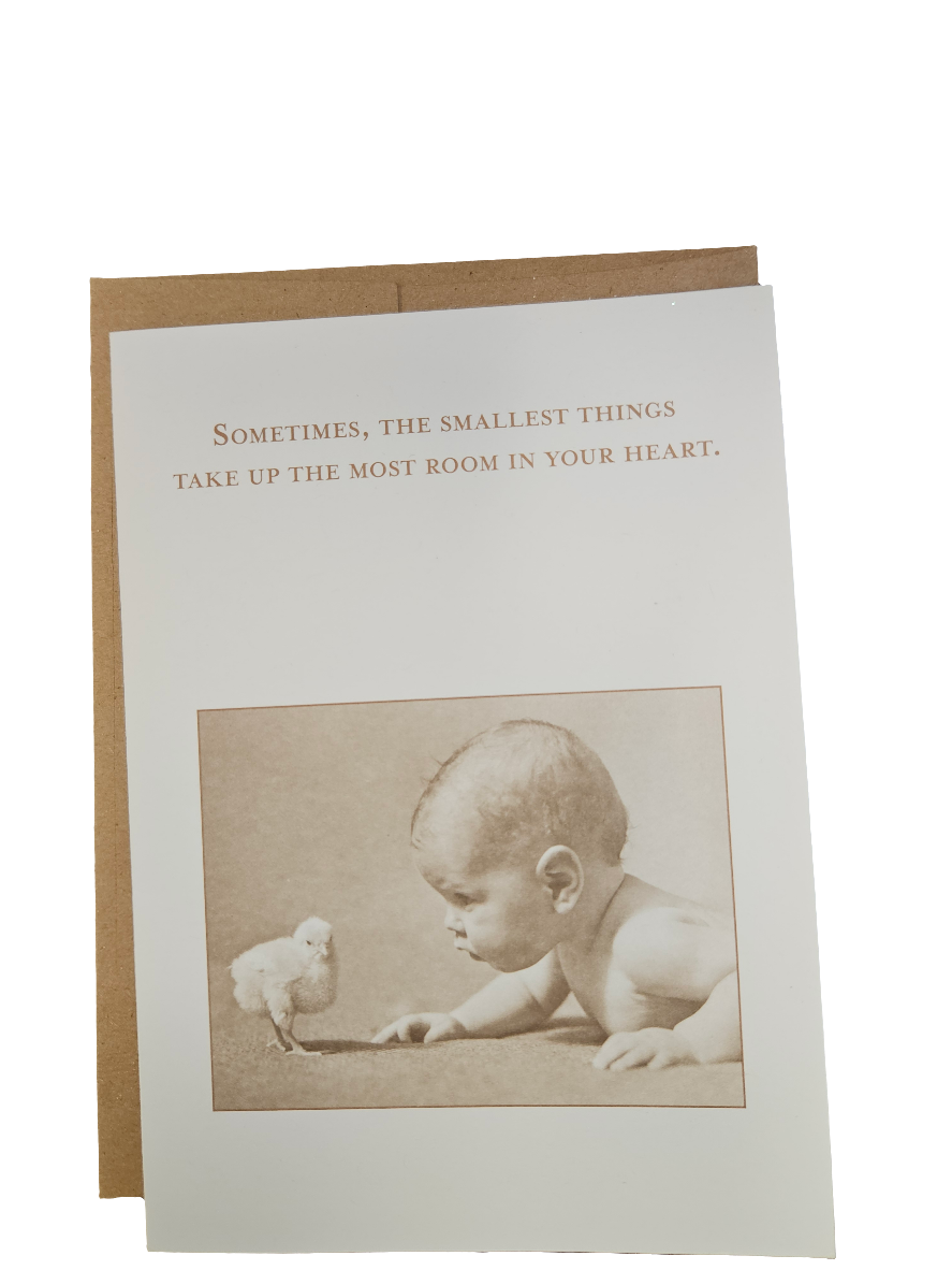 Shannon Martin Greetings Cards