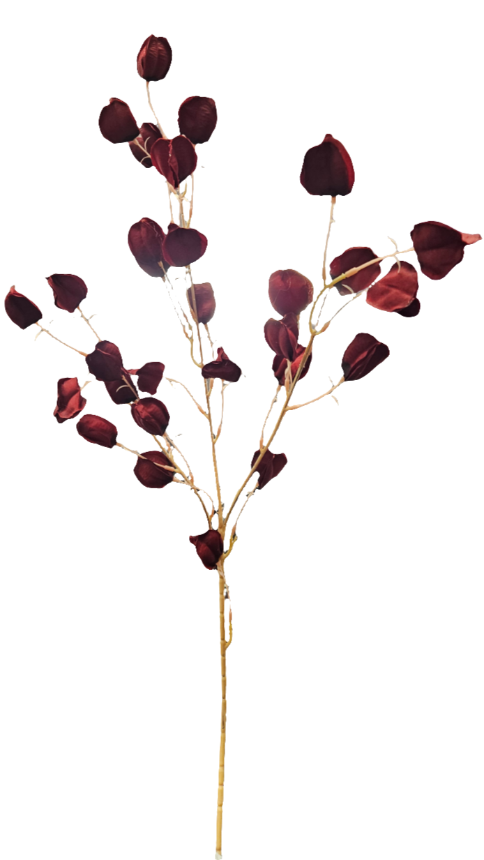 33" Chinese Lantern Flower Stem