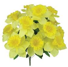 19" Daffodil Bush