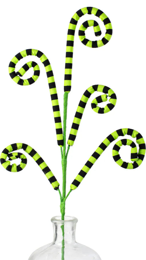 26" Stripe Curly Spray: Green & Black