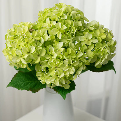 Hydrangea Bush Green 5-stem